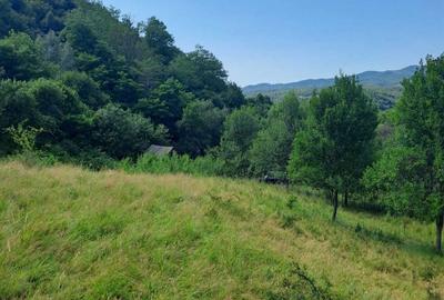 Spațiu comercial, în Rișculița - 7