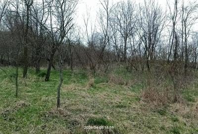 Casă cu 3 camere cu Teren 4660 Mp în Central