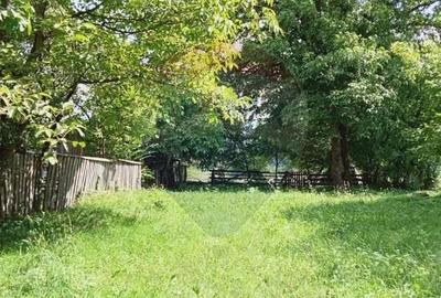 Casă cu 2 camere cu Teren 7295 Mp în Desești - 1