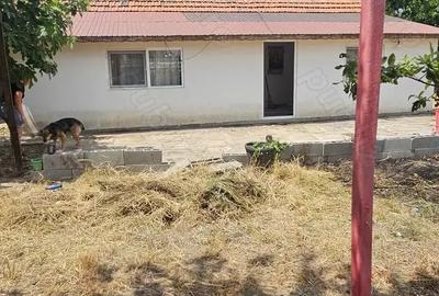 Casa de vanzare Afumati - 3