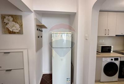 Apartament cu 2 camere semidecomandat, mobilat în Victoriei - 4