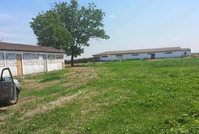 Teren de 12444 mp, în Hârșova - 1