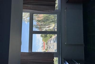 Apartament cu 2 camere decomandat în Carpați 2