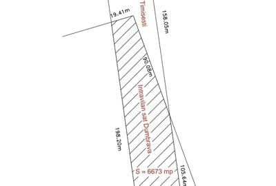 Teren de 10000 mp, în Timișești - 6