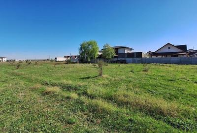 Teren Domnesti Ciutaci - Foisorului Ilfov - 750mp - 3
