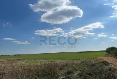 Teren de 25100 mp, în Sântandrei