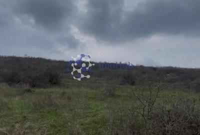 Teren Construcții extravilan de 20000 mp, în Șorogari - 2