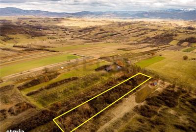 Spațiu comercial, în Vadu Crișului - 6