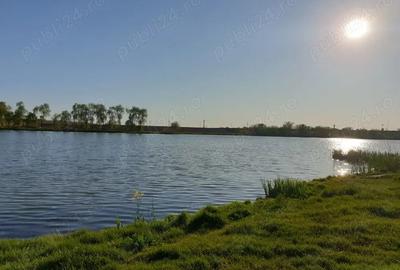 Casa de vanzare 5 camere S+P+E, Movilita, zona linistita in apropiere de lac, 40km de Bucuresti - 6