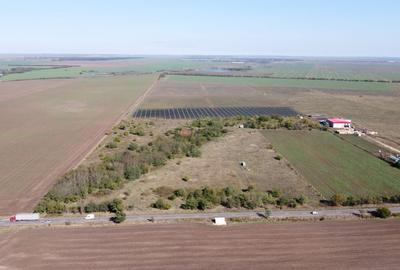 Teren agricol extravilan de 10000 mp, în Frumușani - 4