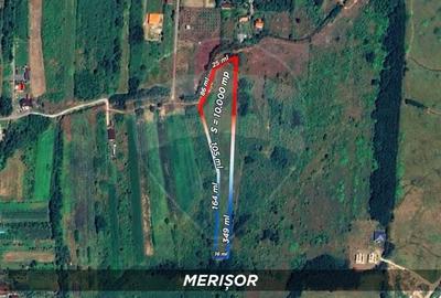 Teren Construcții intravilan de 10000 mp, în Merișor - 3