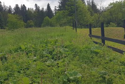 Teren intravilan de vanzare Predeal - 7