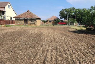 Teren de 7610 mp, în Curtici - 4