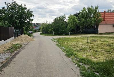 Teren Construcții intravilan de 780 mp, în Săldăbagiu de Munte - 2