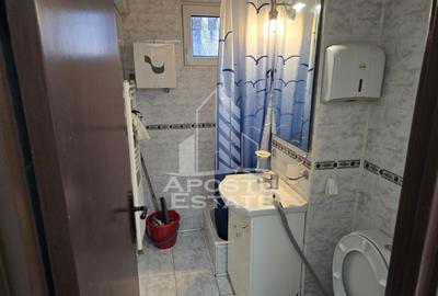 Apartament cu 2 camere semidecomandat, mobilat în Take Ionescu - 7