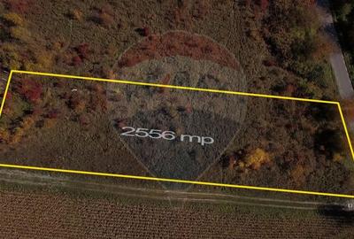 Teren agricol intravilan de 2556 mp, în Pădureni (Chinteni) - 12