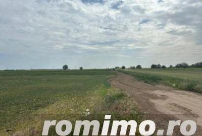 Cota 1/4 teren extravilan Gheraseni, jud. Buzau - R2070447 - 6