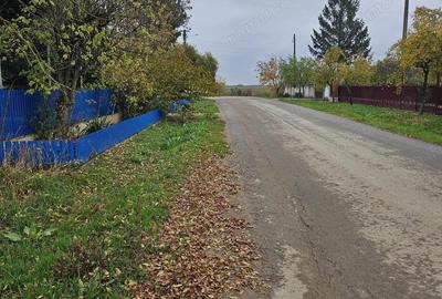 Comuna Butimanu (Decindea), Judet Dambovita, teren intravilan si extravilan - 3