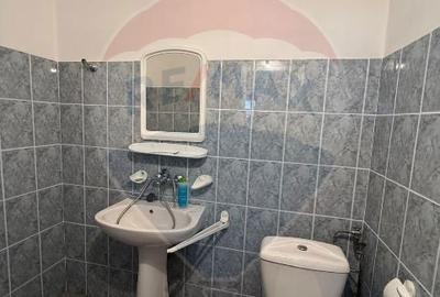 Spațiu comercial, de 160 mp, în Lazaret - 7