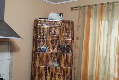 Casă cu 3 camere cu Teren 630 Mp în Bila - 10
