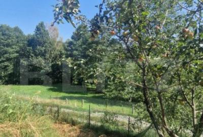 Casa PREDELUT , 4 camere - 4