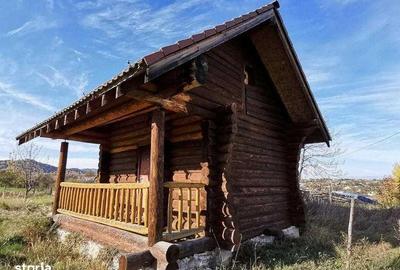 Teren de 990 mp, în Cacica - 5