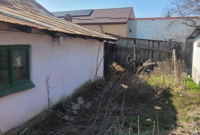 Spațiu comercial, în Bran - 8