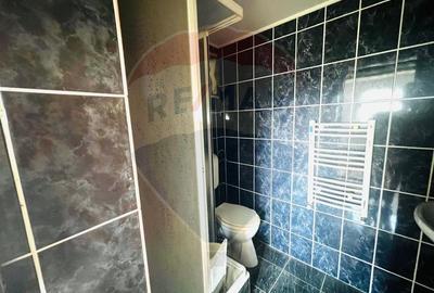 Casă individuală cu 8 camere cu Teren 1869 Mp în Radna - 18