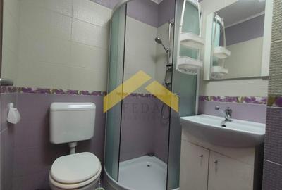 Apartament cu 3 camere decomandat în Aradul Nou - 11