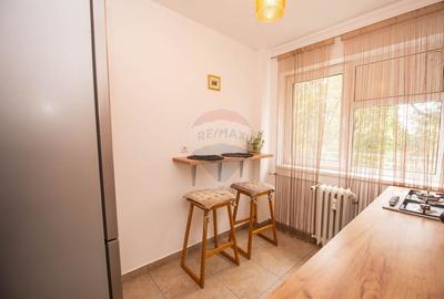 Apartament de vanzare 2 camere 50 mp , balcon, Pajura - 6