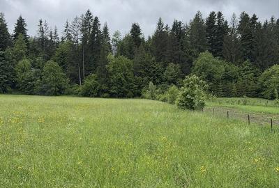 Teren de 1000 mp, în Putna - 2