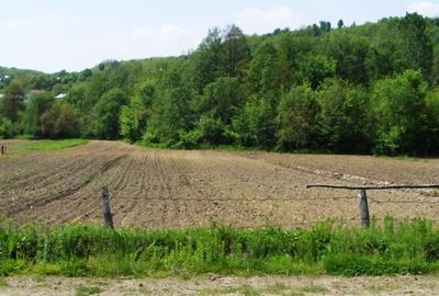 Vad 22000 mp INTRAVILAN BOGATI DJ702C jud Arges - 8