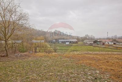 Teren Construcții intravilan de 656 mp, în Cheile Râșnoavei - 3