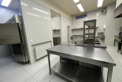 Vanzare Vila Exclusivista Aviatorilor - 38