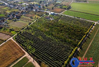 Teren de 44999 mp, în Sabangia - 9