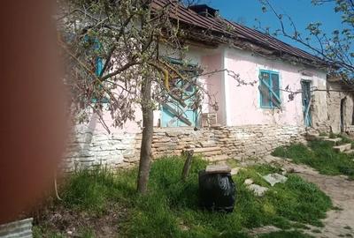 Casă cu 4 camere în Slava Rusă - 2