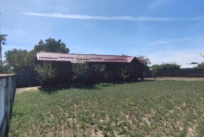 Casă cu 4 camere cu Teren 4100 Mp în Obârșia - 2