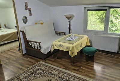 Apartament cu 3 camere decomandat în Iosefin - 6