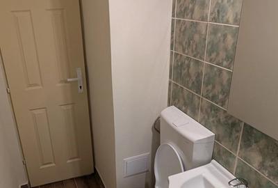 Garsonieră decomandată în Ultracentral - 9