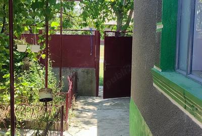 Casă cu 6 camere cu Teren 2880 Mp în Mișca - 5