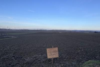 Spațiu comercial, în Bâlta - 1