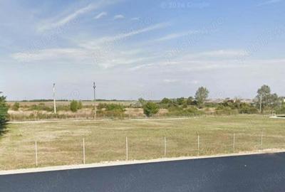 Teren de 5000 mp, în Dumbrăvița - 2