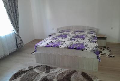 Casa individuala de inchiriat Zona centrala (Lazaret) - 1