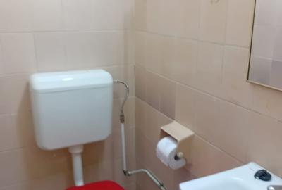 TITAN METROU Costin Georgian,bl.1986,reabilitat,et.3/8,Spatios,2 bai ,Liber - 6