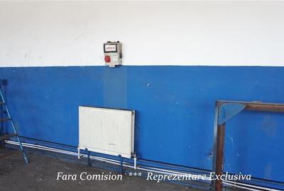 HALA + BIROURI, PARCARE GENEROASA - 8