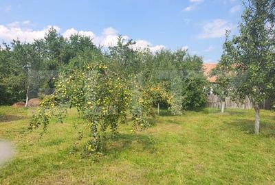 Casă individuală cu 4 camere cu Teren 1000 Mp în Exterior Sud - 2