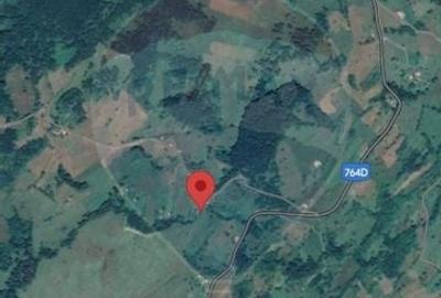 Teren constructii si faneata/livada 3082 mp Damis Bratca drum DJ 764D - 18