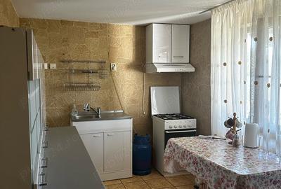 Casă cu 2 camere cu Teren 5000 Mp în Filipești - 1