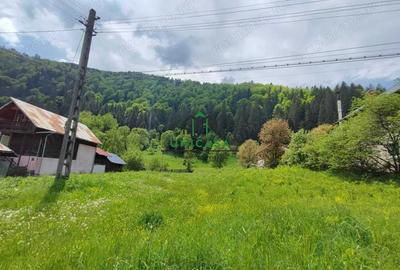 Teren de 5500 mp, în Voineasa