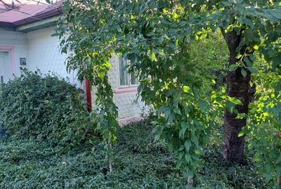 Teren de 8759 mp, în Tâmboești - 2